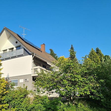 אלבשטאדט Ferienwohnung Mit Toller Aussicht מראה חיצוני תמונה