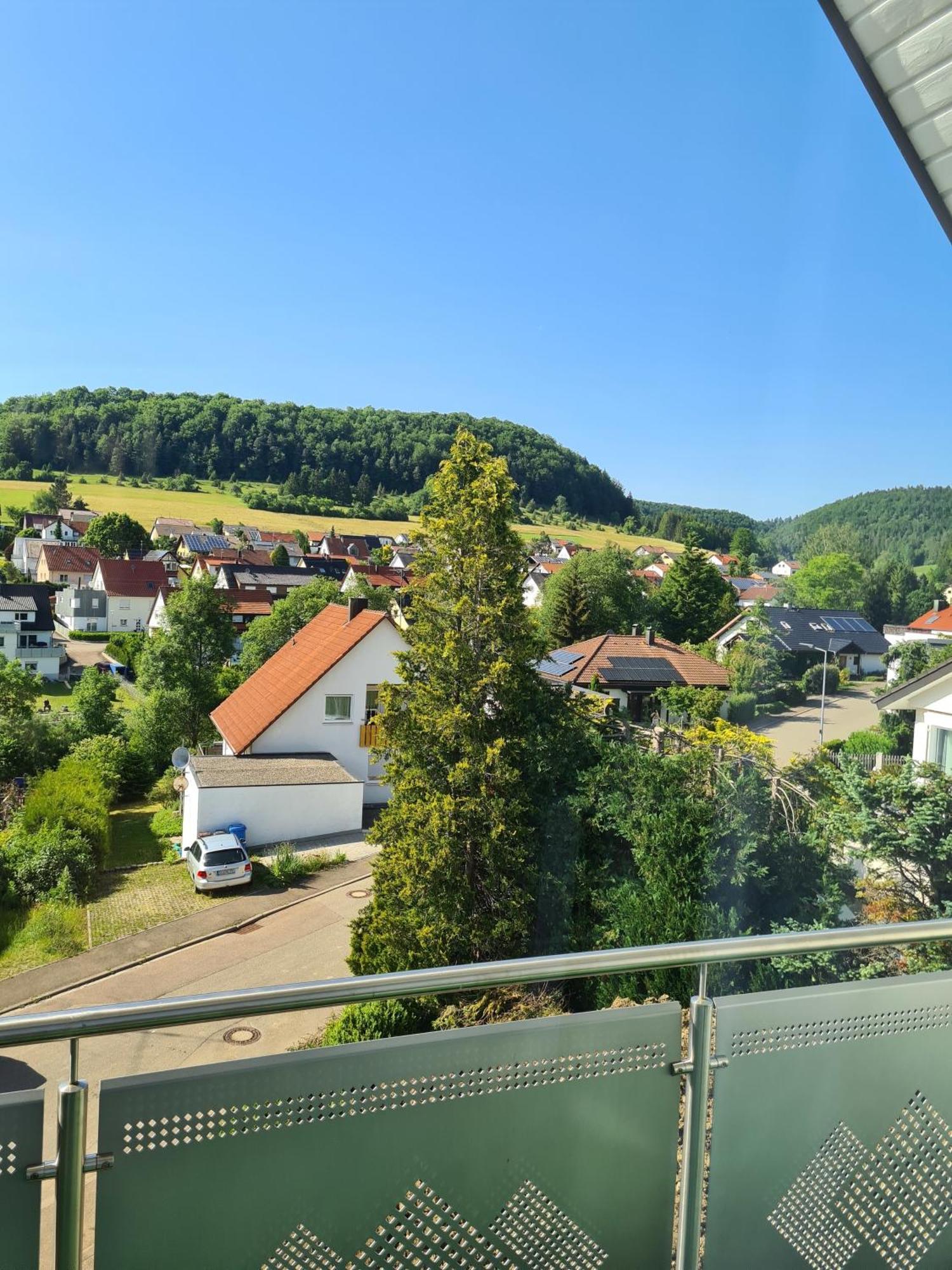 אלבשטאדט Ferienwohnung Mit Toller Aussicht מראה חיצוני תמונה