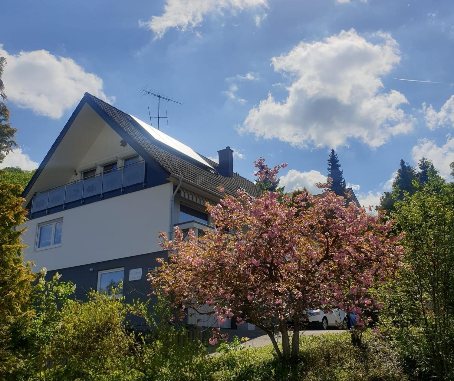 אלבשטאדט Ferienwohnung Mit Toller Aussicht מראה חיצוני תמונה