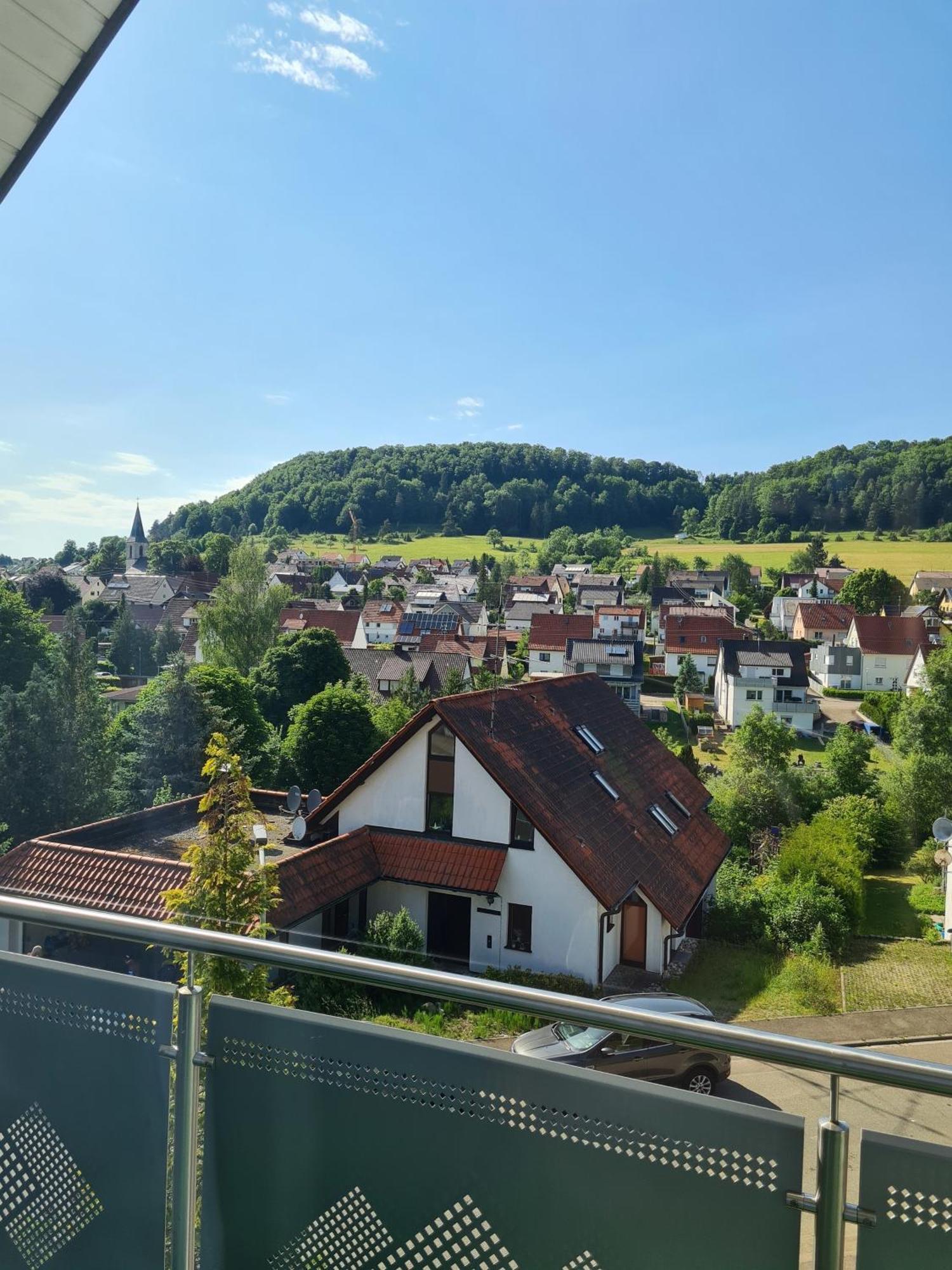 אלבשטאדט Ferienwohnung Mit Toller Aussicht מראה חיצוני תמונה